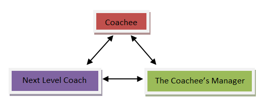 CoachesLabGraphic